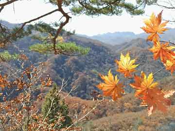 购买打胎药的步骤打胎药私人（打胎药私人店联系方式）